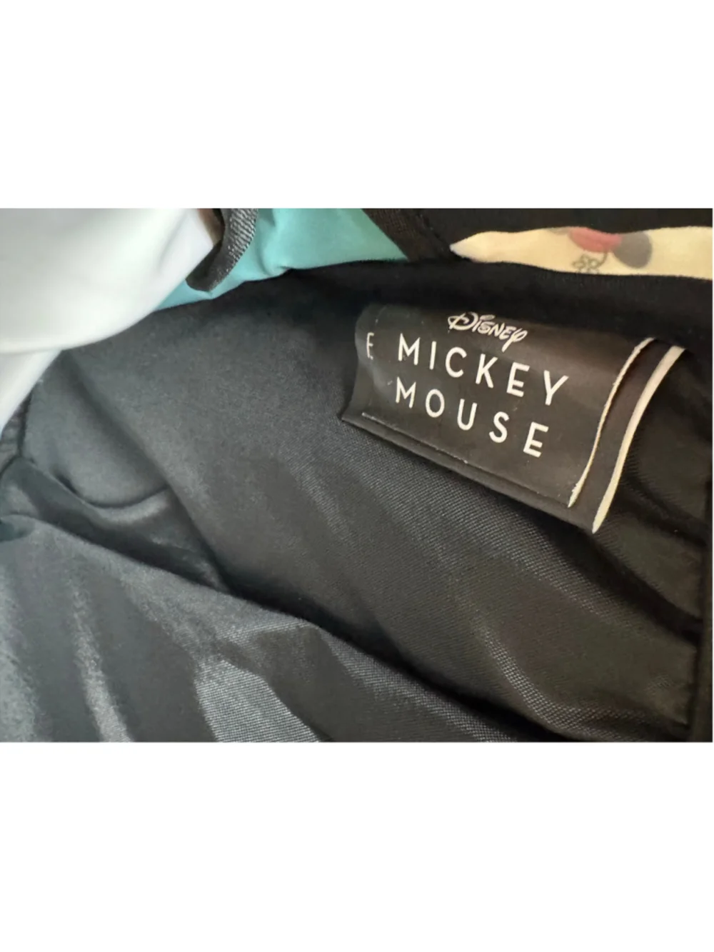 BIOWORLD Disney Mickey Mouse Classic Characters 16